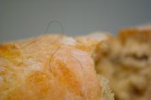 The Bread of Disgust, a art object by Martin Gut, 2010