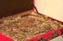 The Penultimate Suitcase by Martin Gut, 2009