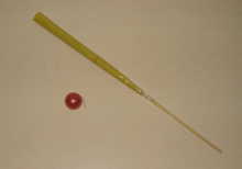 Two object from  Simone Stahl from the Business Solution Group, Technology Innovation AG.